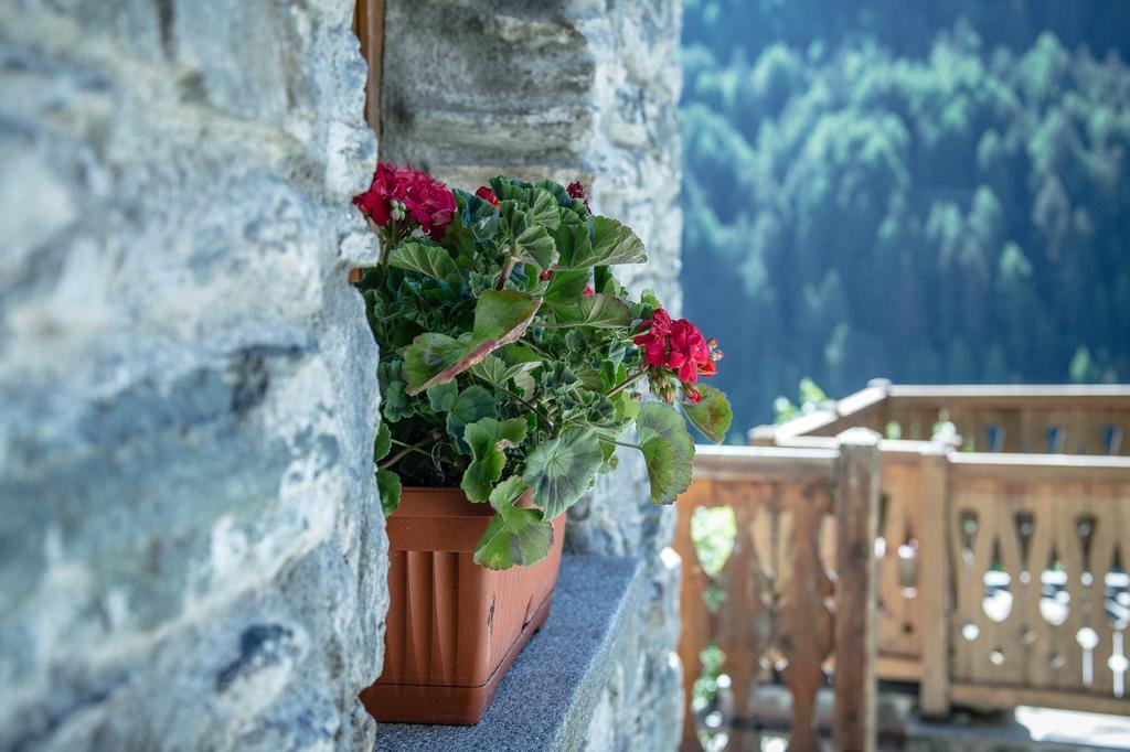 Seconda Stella A Destra Apartment Valgrisenche Exterior photo